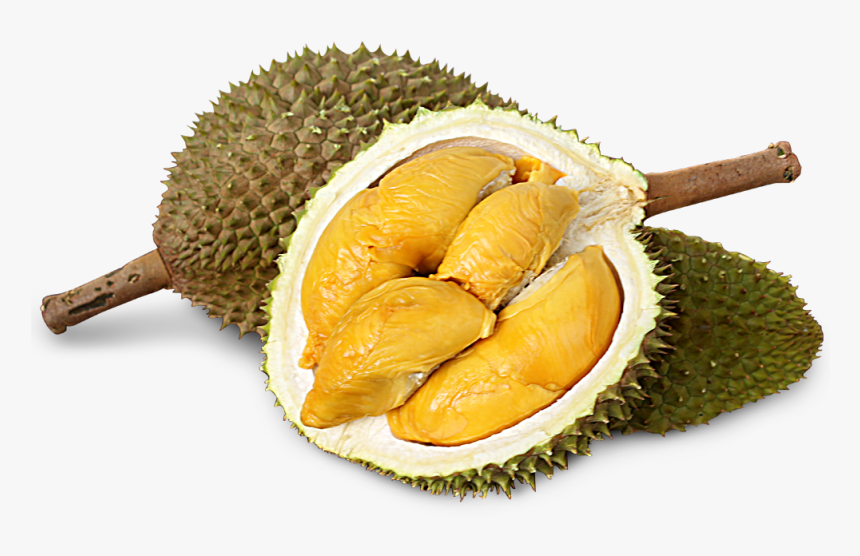 Jackfruit - Kit Kat Durian Flavor, HD Png Download, Free Download