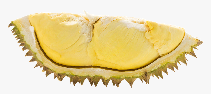 Durian Png - Transparent Background Durian Png, Png Download, Free Download