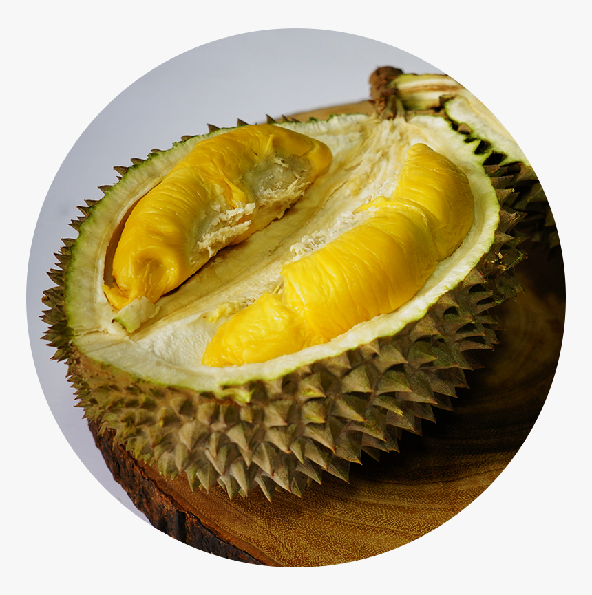 Durian , Png Download - Durian, Transparent Png, Free Download