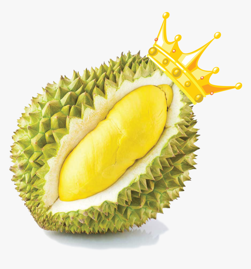 Transparent Snack Clipart - Durian Png, Png Download, Free Download