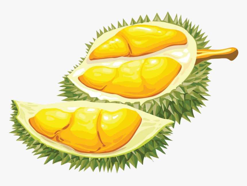 Durian Clipart Png, Transparent Png, Free Download