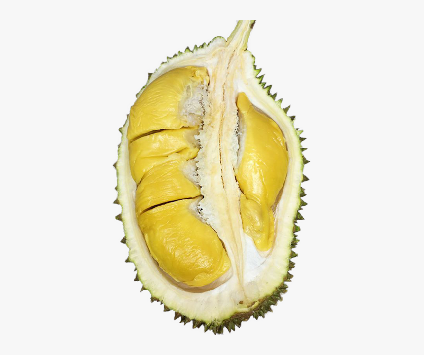 Durian, HD Png Download, Free Download