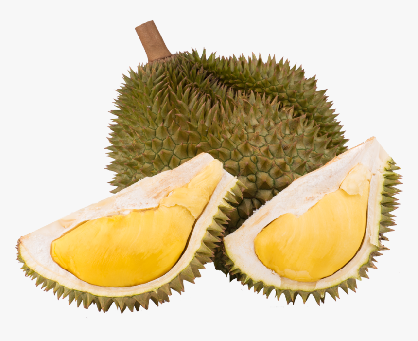 Durian, HD Png Download, Free Download