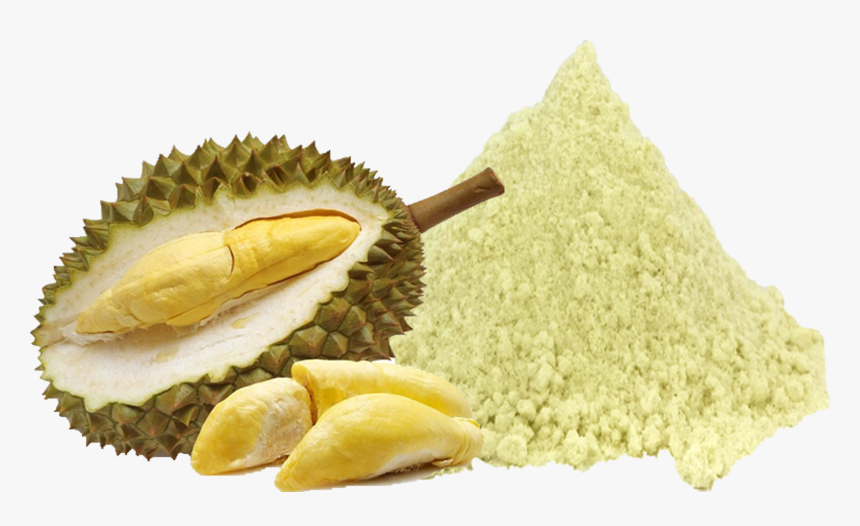 Transparent Durian Png - Durian Fruit, Png Download, Free Download