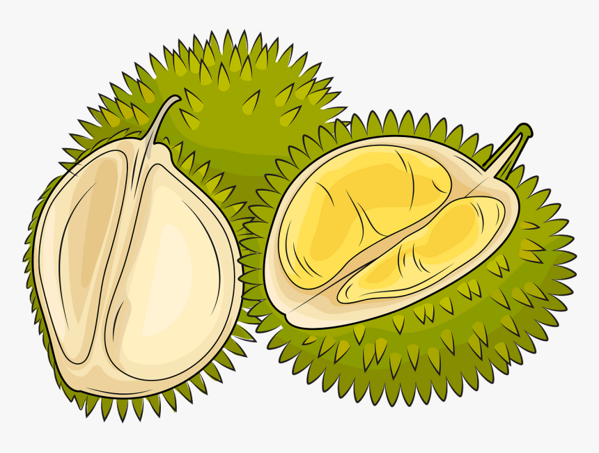 Durians Clipart, HD Png Download, Free Download
