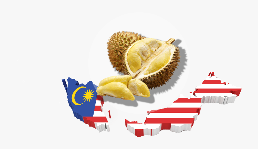 Durian Malaysia Map - Transparent Malaysia Flag Map, HD Png Download, Free Download