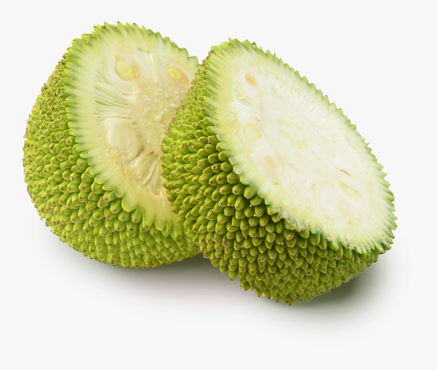 Jackfruit Png, Transparent Png, Free Download