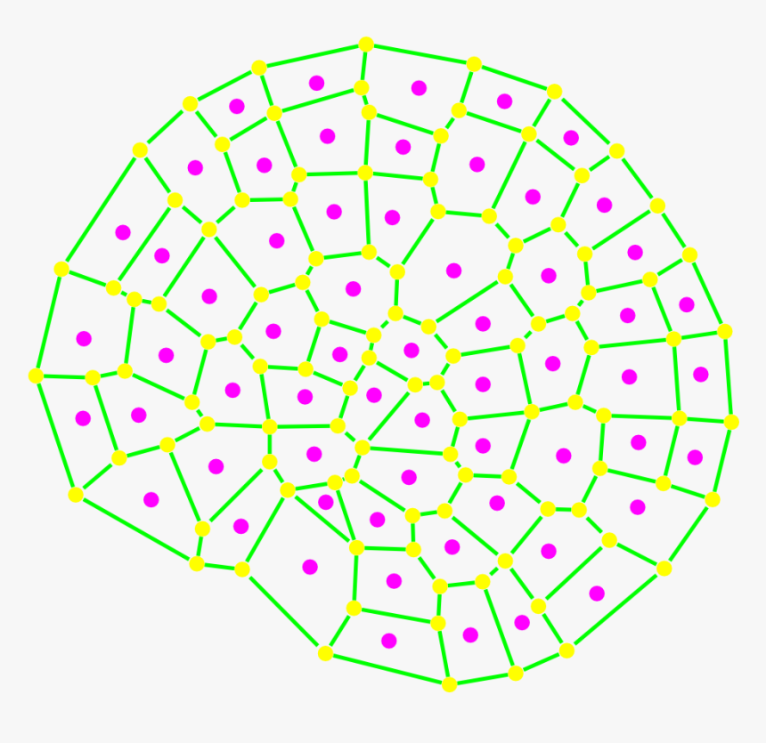 - - / - - / - - / Images/data Acquired2 - Tissue Cell Drawing, HD Png Download, Free Download