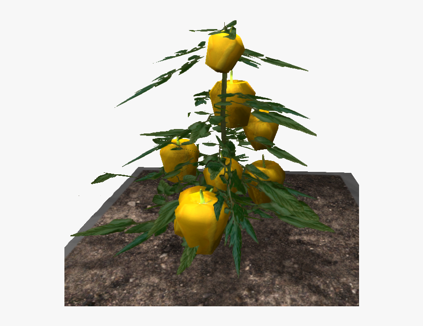 Space Durian - Garden Roses, HD Png Download, Free Download