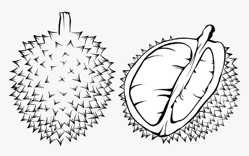 Coloring Clipart Fruit - Durian Black And White, HD Png Download, Free Download