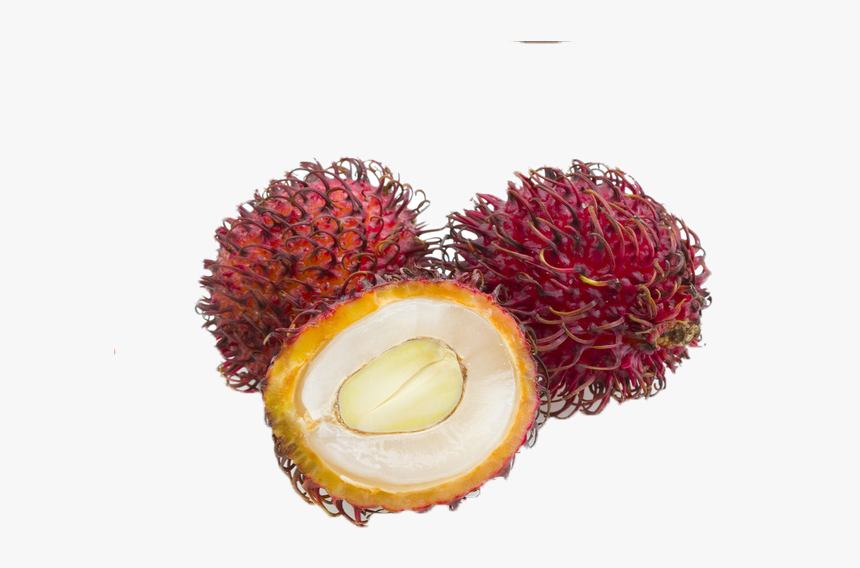 Rambutan, HD Png Download, Free Download