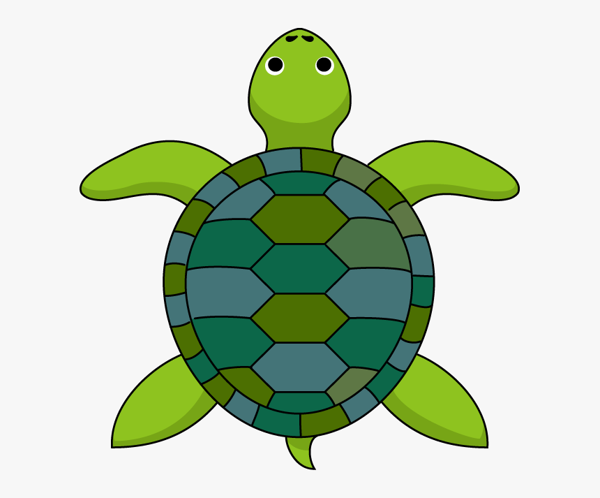 Turtle Clipart Top Tortoise Clipart- - Turtle Cartoon Top View, HD Png Download, Free Download