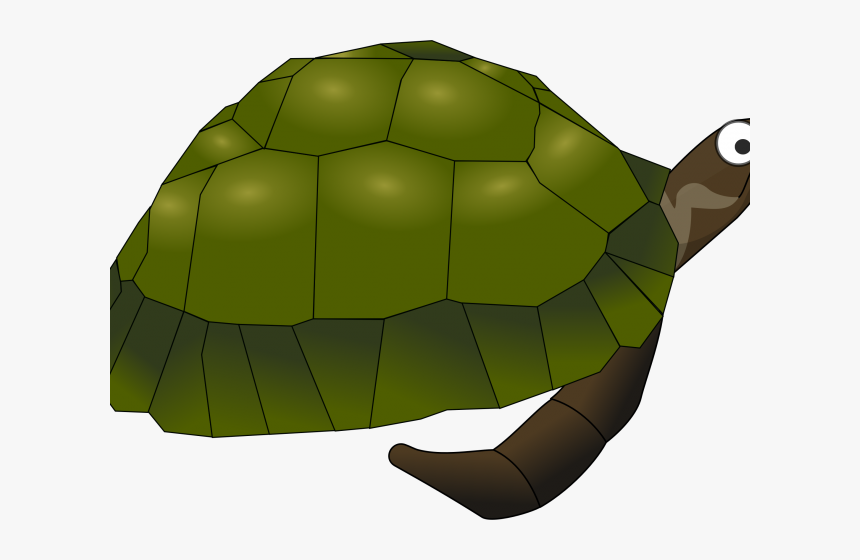 Transparent Green Sea Turtle Clipart - Sea Turtle Clip Art, HD Png Download, Free Download