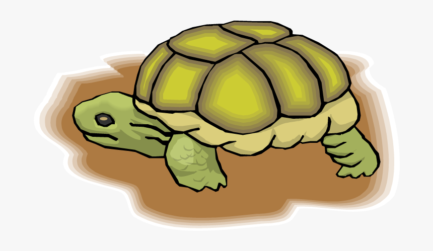 Desert Tortoise, HD Png Download, Free Download