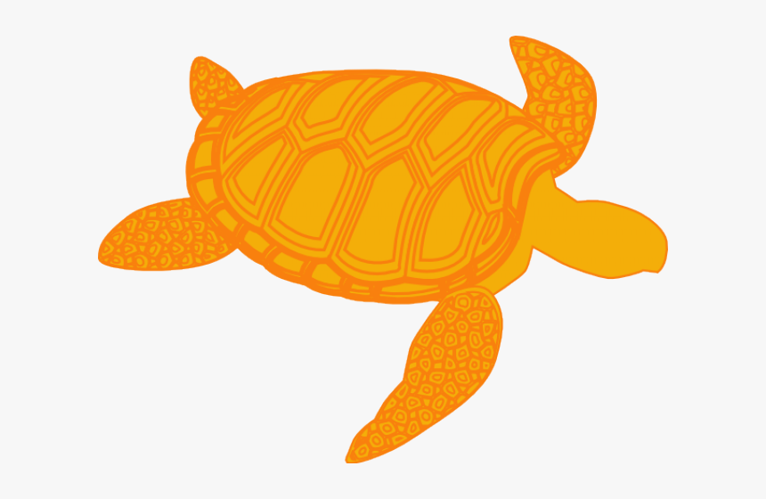 Sea Turtle Clipart Olive Ridley - Shadow Of A Turtle, HD Png Download, Free Download