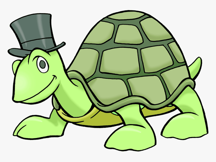 Clip Art Of A Turtle - Clip Art Of Turtle, HD Png Download, Free Download