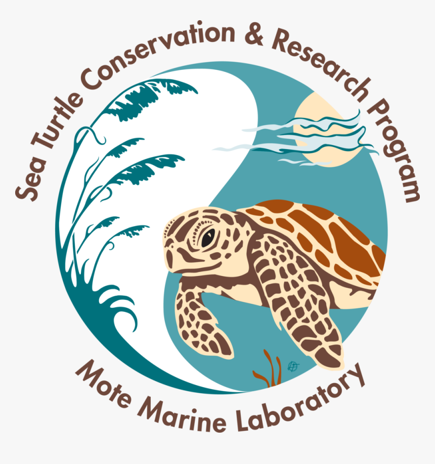 Sea Turtle Clipart Track - Save The Sea Turtles Logo Transparent ...