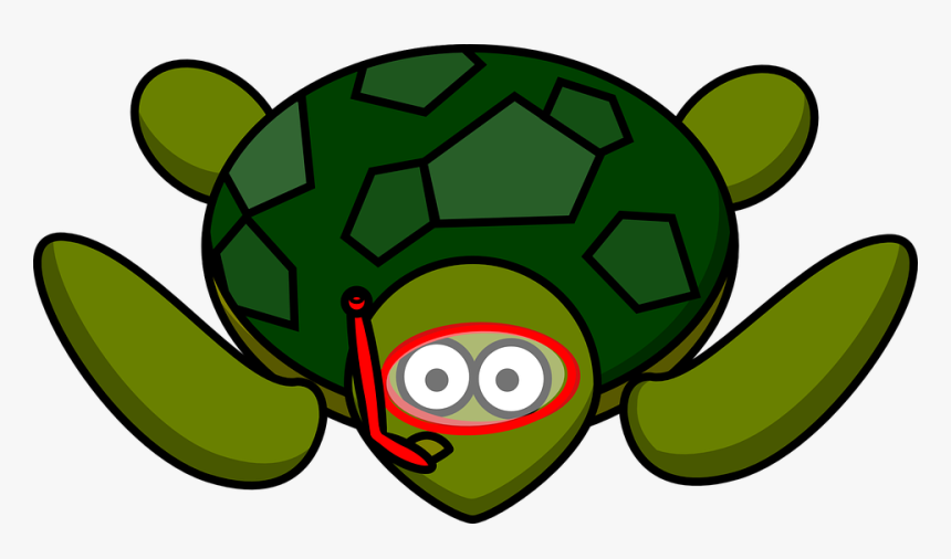 Transparent Tortoise Png - Cartoon Turtle, Png Download, Free Download