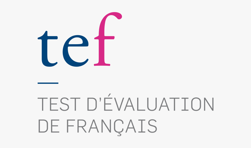 Tefaq French Exam, HD Png Download, Free Download