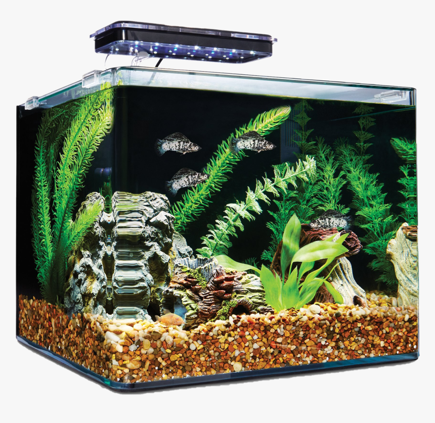 Aquarium Fish Tank Png Free Download - Imagitarium 6.8 Gallon Tank, Transparent Png, Free Download