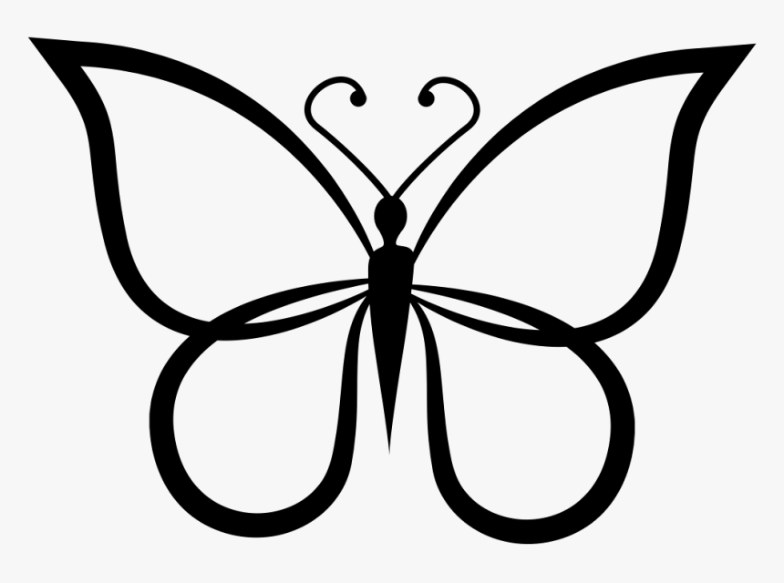 Butterfly Shape Outline Top View Comments - Butterfly Black And White, HD Png Download, Free Download