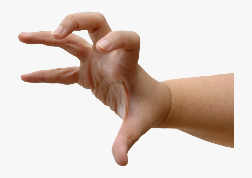 Grasping Hand, HD Png Download - kindpng.