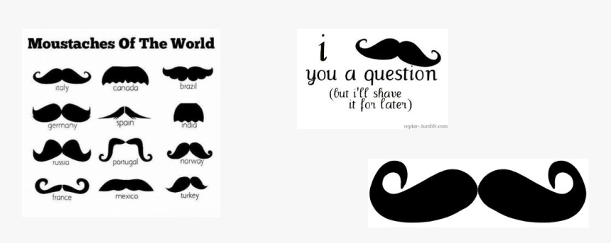 Transparent Mustash Png - Moustaches Around The World, Png Download, Free Download