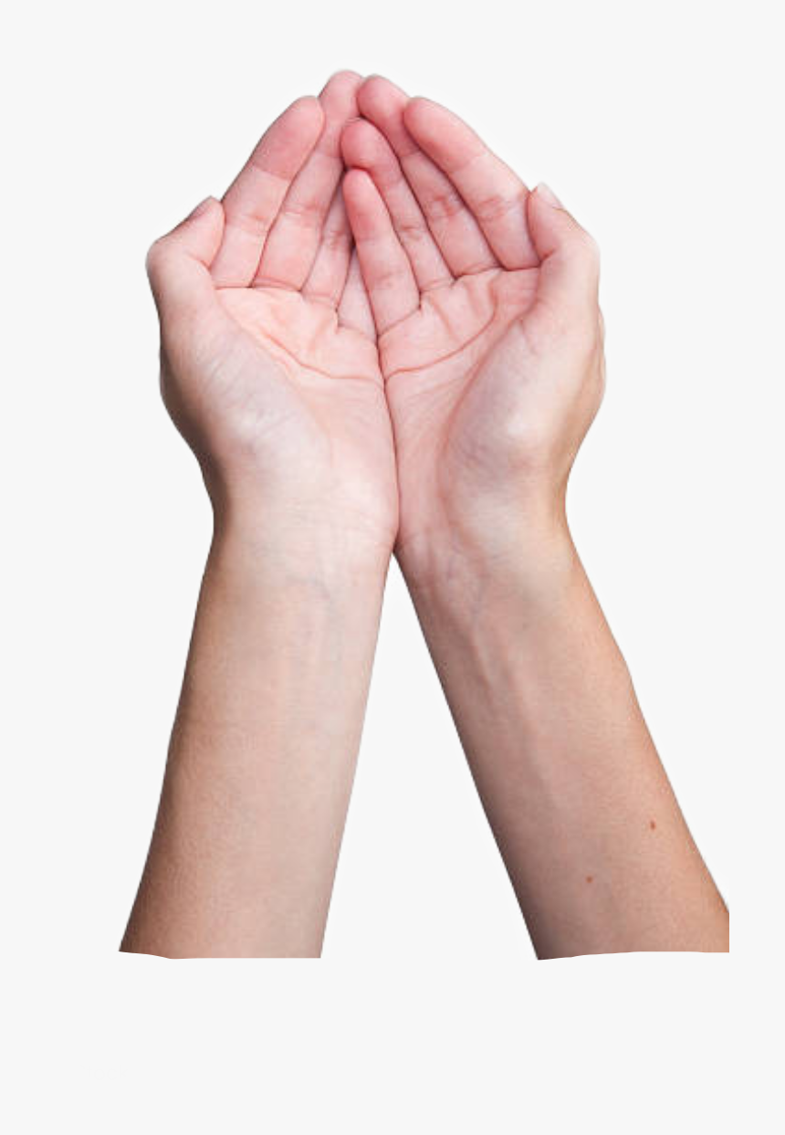 Cupped Hands Png, Transparent Png, Free Download