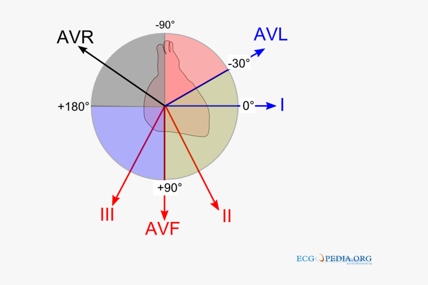 Ecg Vectors - Ecg Axis, HD Png Download, Free Download