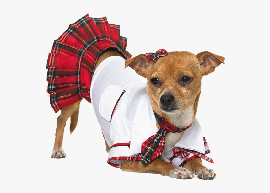 School Girl Dog Costume, HD Png Download, Free Download