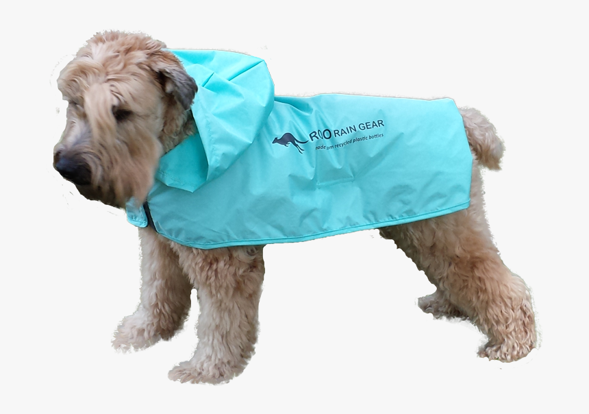 Dog Wearing A Roo Rain Gear Dog Poncho - Poncho Dogs, HD Png Download, Free Download