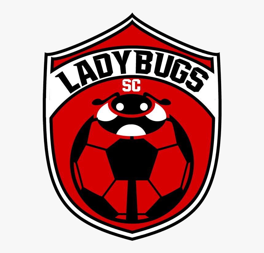 Ladybugs - Transparent Soccer Ball Cartoon, HD Png Download, Free Download