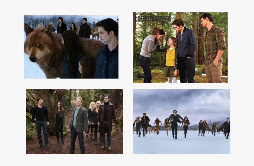 Imagen - Twilight Saga Breaking Dawn Part 2 Jacob, HD Png Download, Free Download