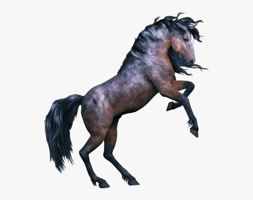 Horses Fathead - Horse, HD Png Download, Free Download