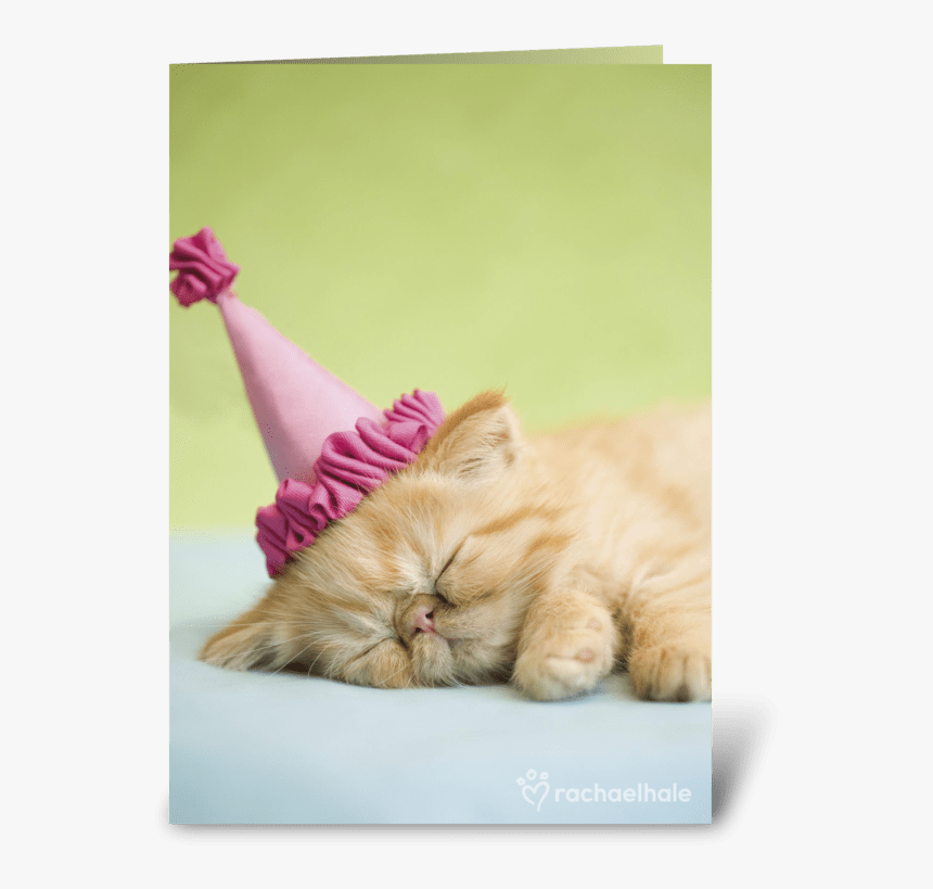 Happy Birthday Kitten In Party Hat Greeting Card - Happy Birthday Jennifer Cat, HD Png Download, Free Download