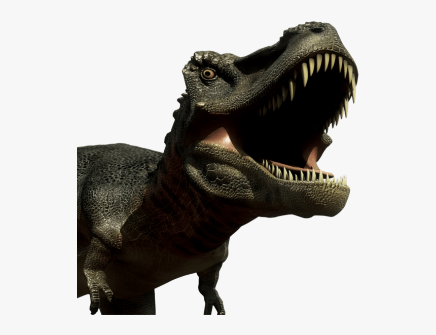 Dinosaurs Fathead - Fathead Animals, HD Png Download, Free Download