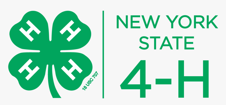 New York 4 H, HD Png Download, Free Download