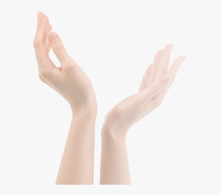 Manicured Hands - Mannequin, HD Png Download, Free Download