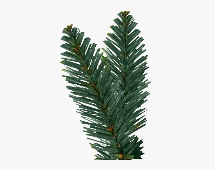 Christmas Tree Royal Blue - Christmas Tree Leaf Png, Transparent Png, Free Download