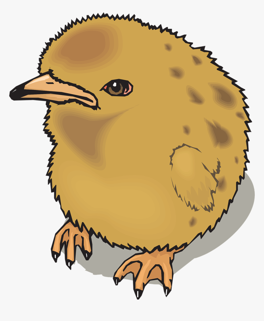 Png Pollo Bebe, Transparent Png, Free Download