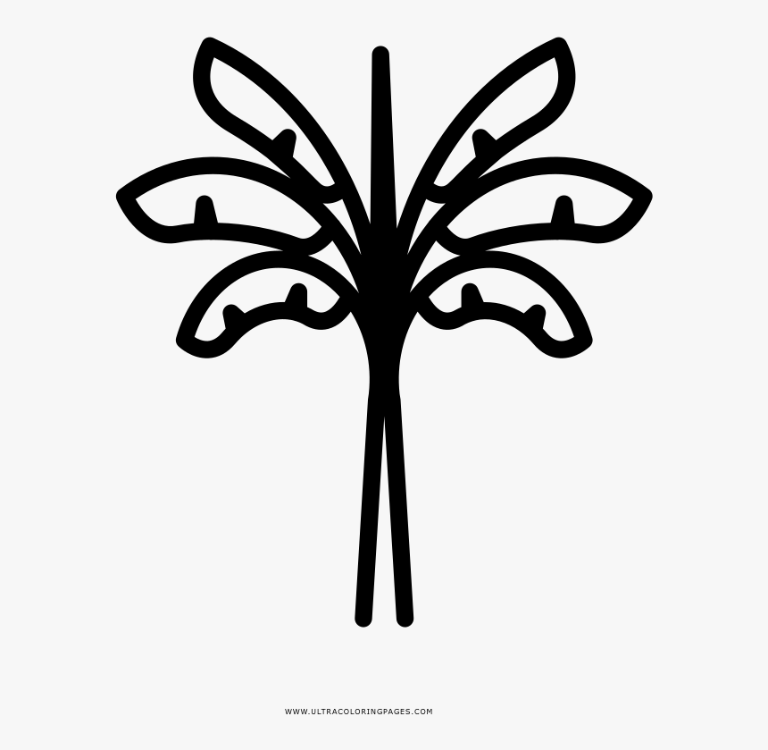 Banana Tree Coloring Page - Coloring Book, HD Png Download, Free Download