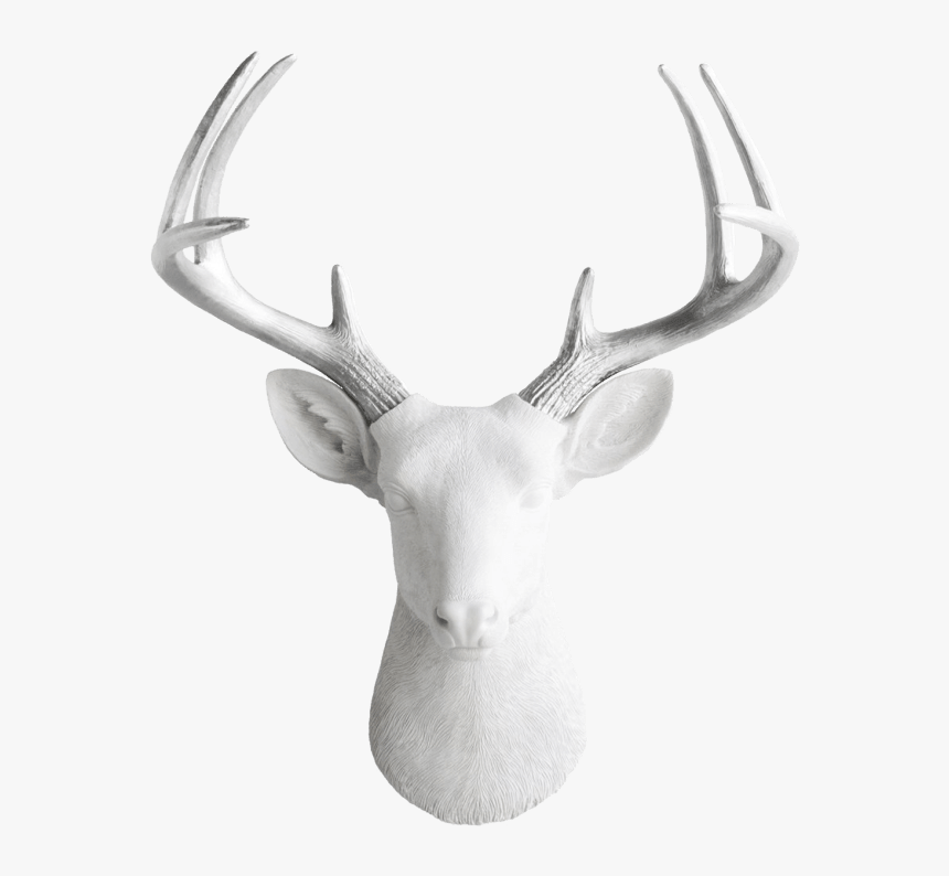 Antler, HD Png Download, Free Download