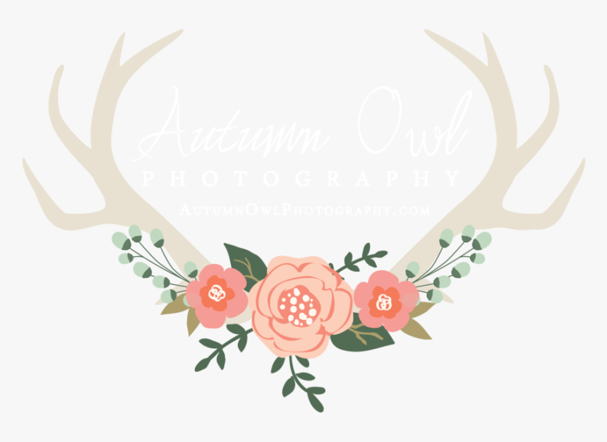 Clip Transparent Image Logo Photoshop E - Transparent Deer Antlers With Flowers, HD Png Download, Free Download