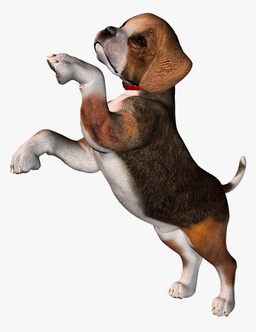 Perro Clipart Beagle - Beagle Png, Transparent Png, Free Download