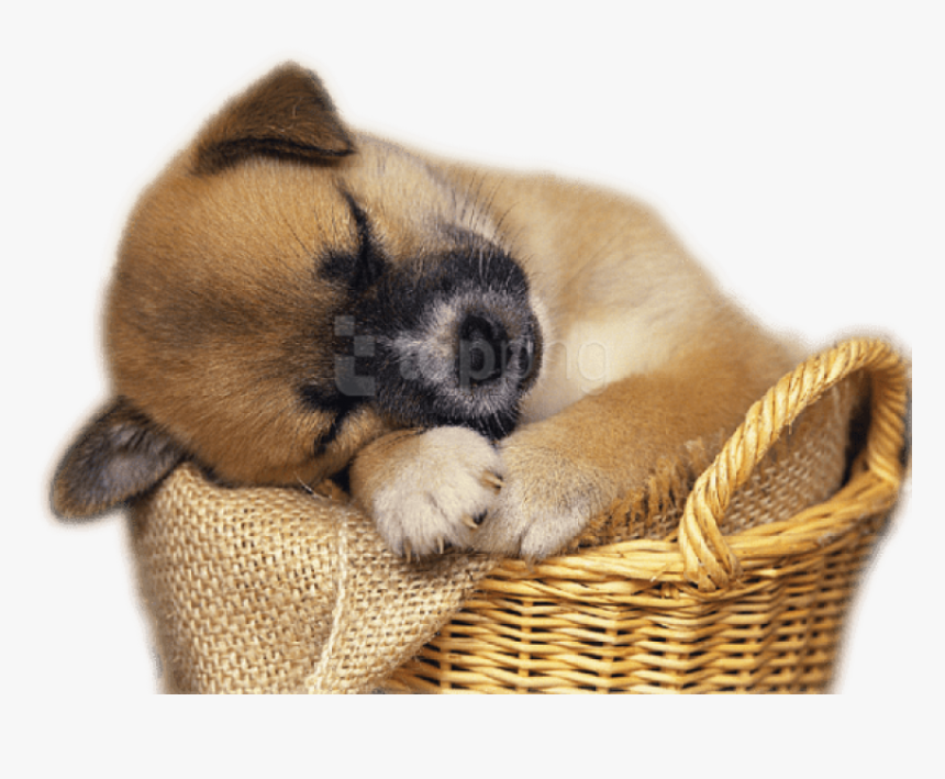 Puppy Clipart Png - Free Clip Art Puppies, Transparent Png, Free Download