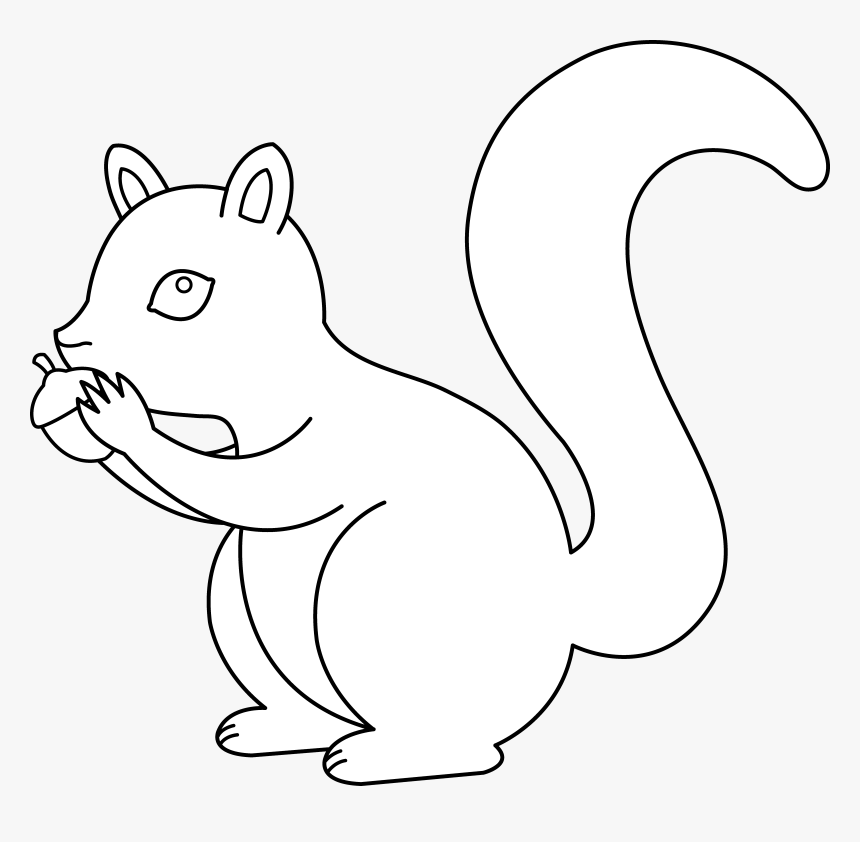 Transparent Acorn Clipart Png - White Squirrel On Black Background, Png Download, Free Download