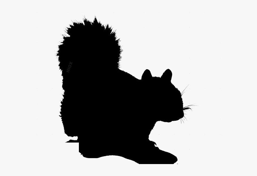 Transparent Squirrel Clipart - Squirrel, HD Png Download, Free Download