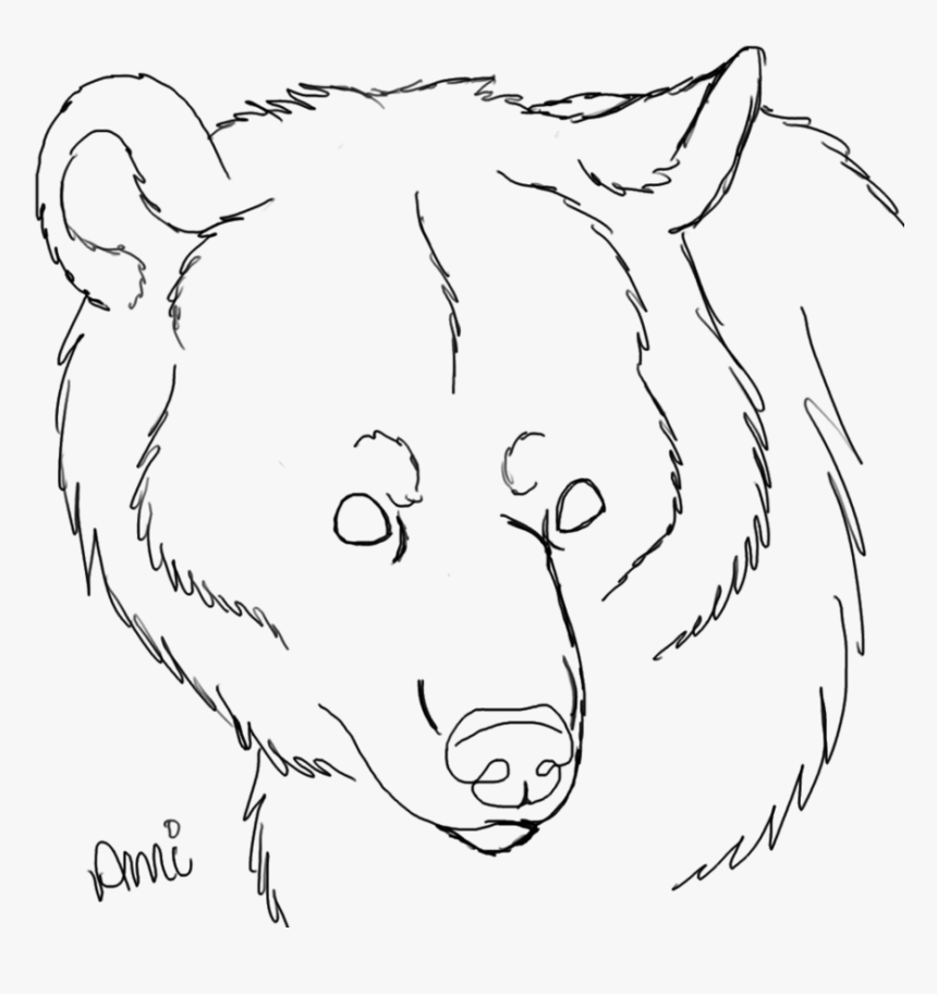 Drawings Of Bear Faces - Free Bear Line Art, HD Png Download, Free Download