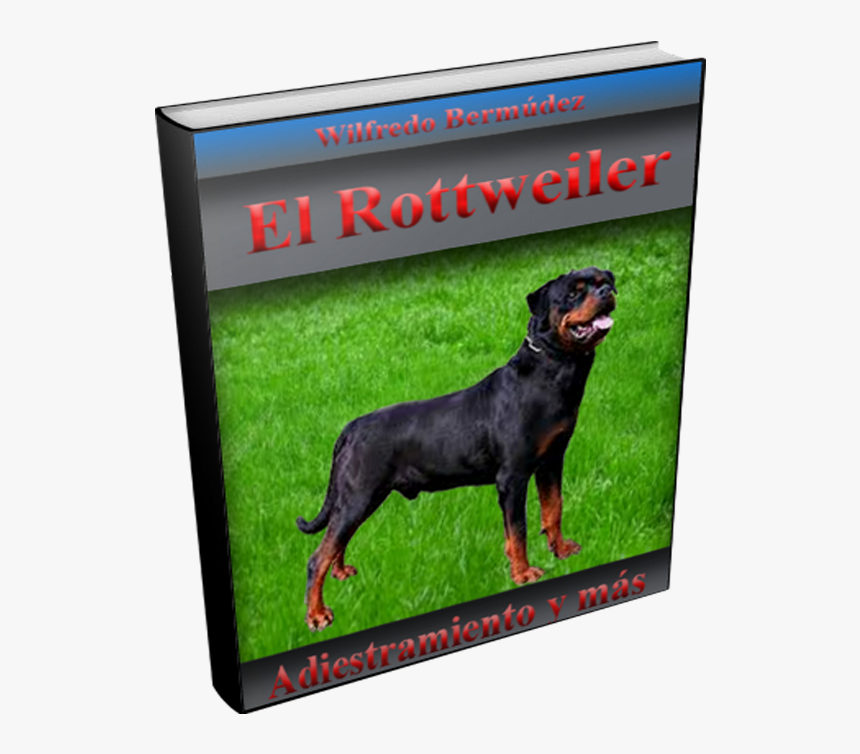 Rottweiler, HD Png Download, Free Download