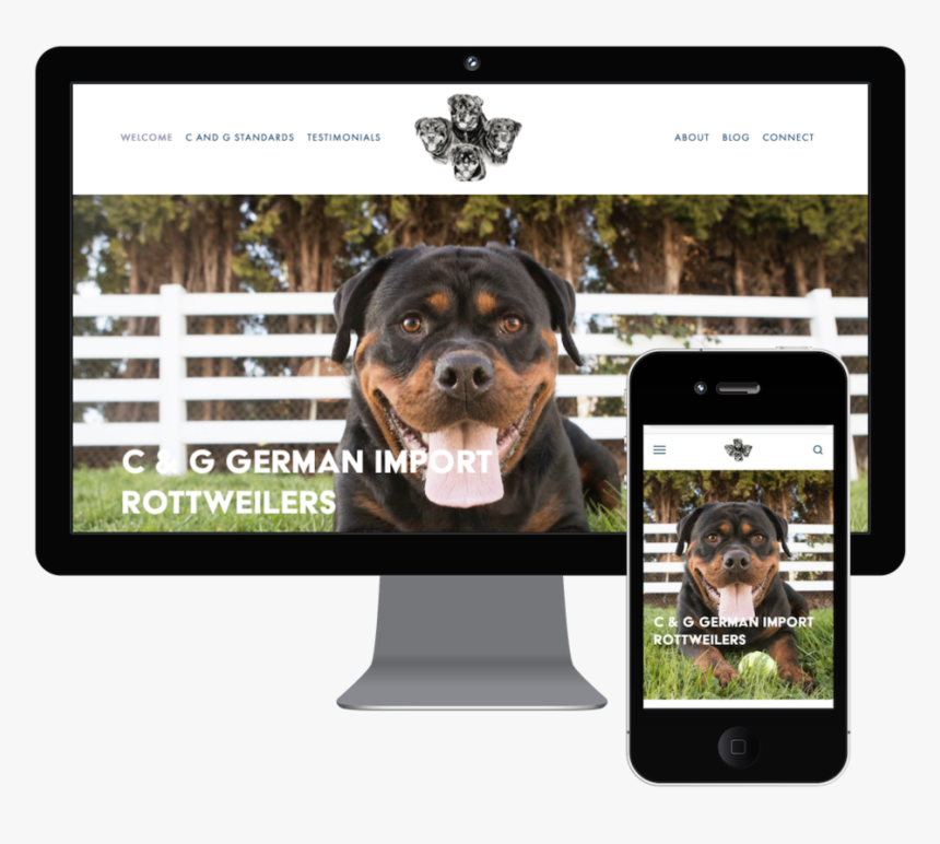 Cgdogs Webandmobileimg - Rottweiler, HD Png Download, Free Download